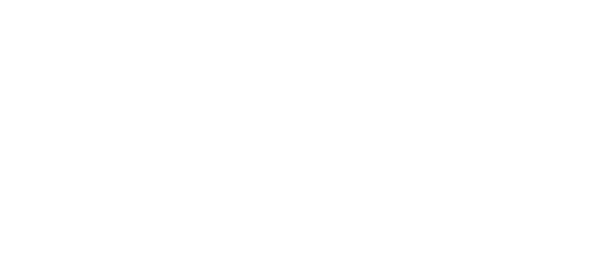 Header_Logo_Sels.png